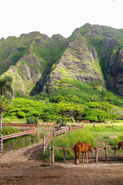 kualoaranch